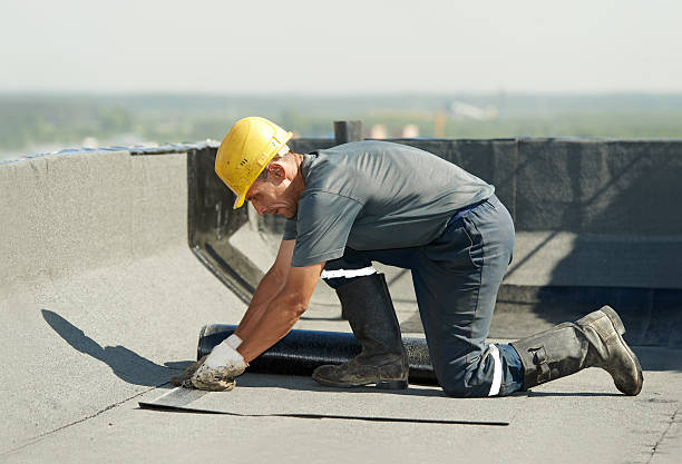 Best Cellulose Insulation in West Canton, NC