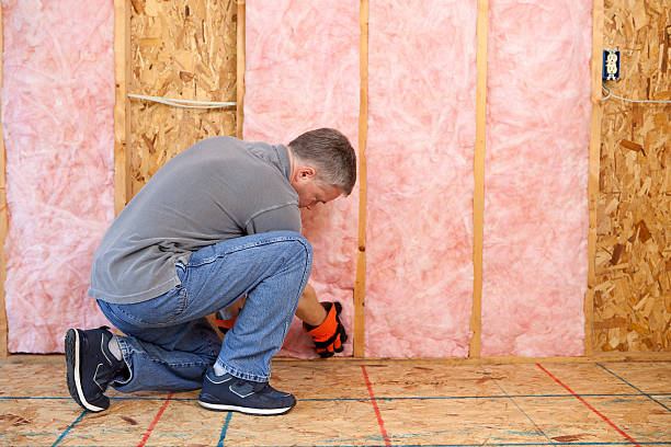 Best Residential Insulation in West Canton, NC